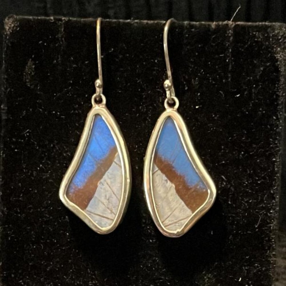 Butterfly Wing Earrings
